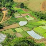 Agricultura: nova secretaria será focada nas demandas do homem do campo