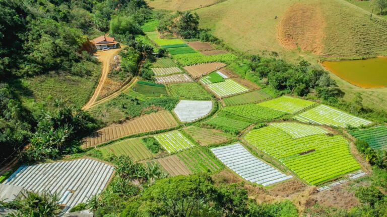 Agricultura: nova secretaria será focada nas demandas do homem do campo