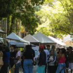 Mutirão de cidadania reúne milhares de pessoas no Parque Municipal de Belo Horizonte