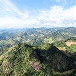 Espírito Santo ultrapassa 2 milhões de mudas plantadas e reafirma liderança nacional em recuperação da Mata Atlântica